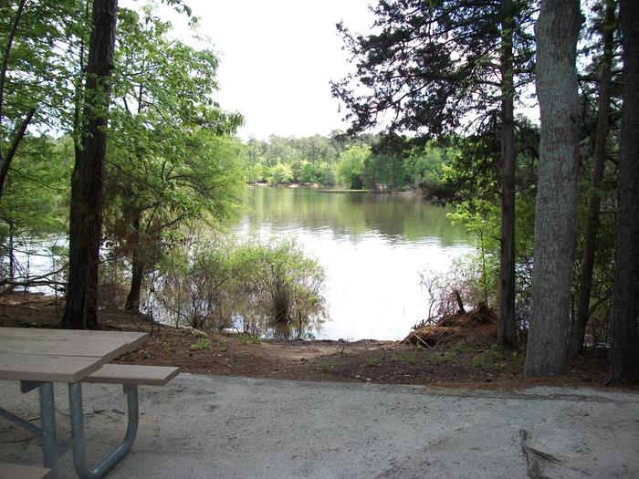 Site 52 Lake view