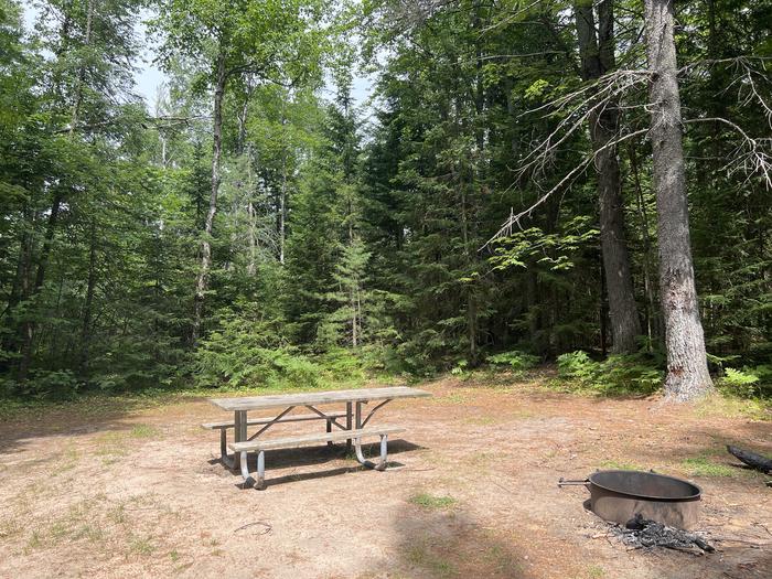 A photo of Site 06 of Loop THREE LAKES  at THREE LAKES with Picnic Table, Fire Pit
