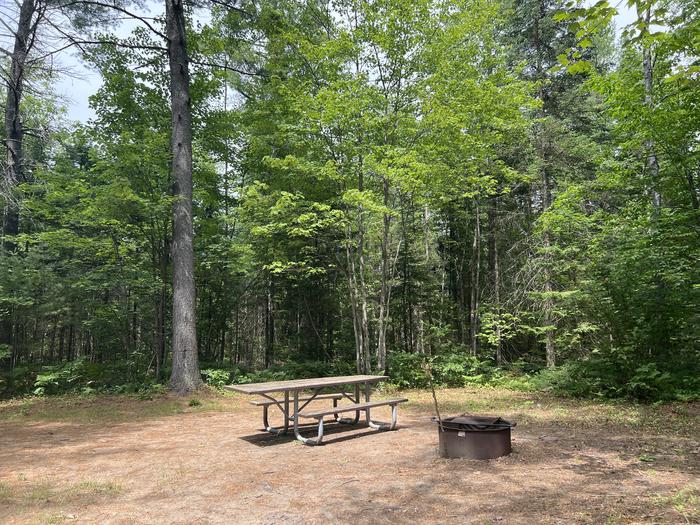 A photo of Site 02 of Loop THREE LAKES  at THREE LAKES with Picnic Table, Fire Pit, Shade