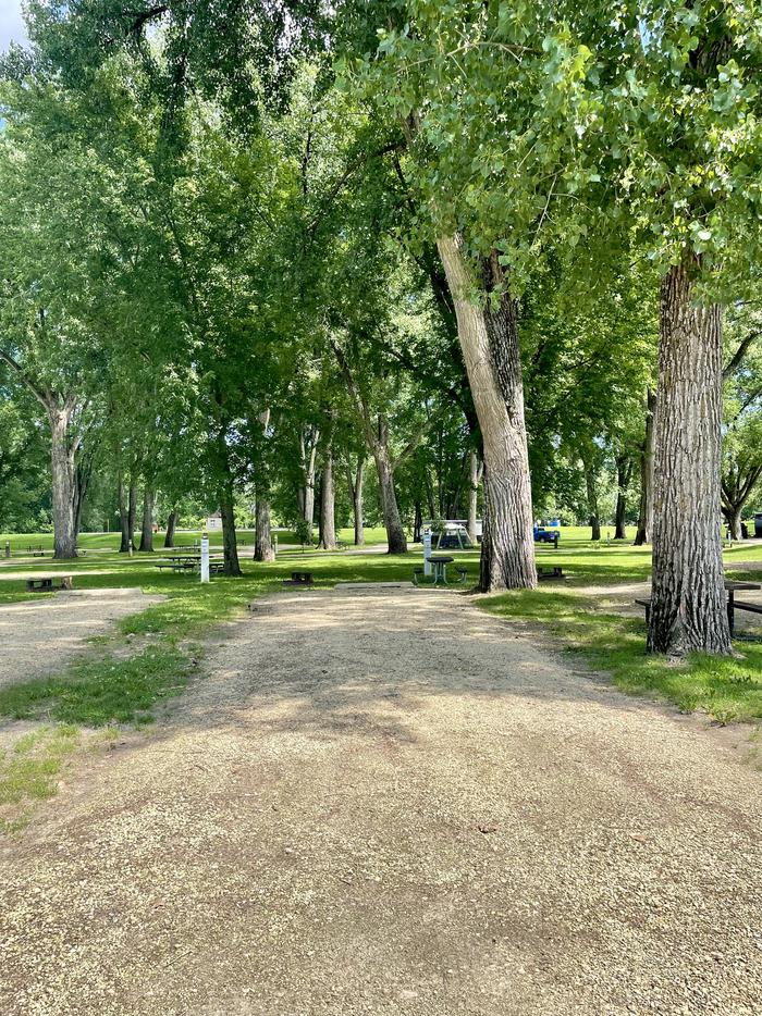Site 8Large shade trees, pit toilets close by with views of the Mississippi River.