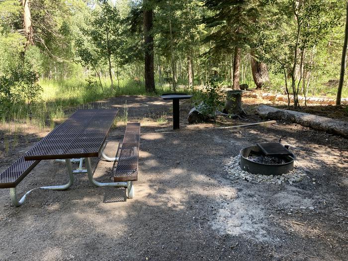 A photo of Site 03 of Loop Loop A at Lookout Campground with Picnic Table, Fire Pit, Shade, Tent Pad