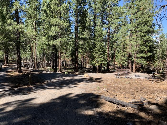 A photo of Site 11 of Loop Loop A at Lookout Campground with Picnic Table, Shade