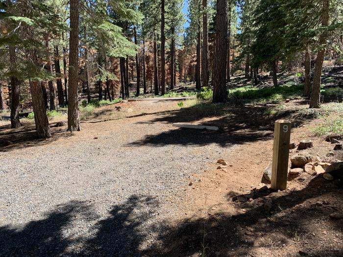 A photo of Site 09 of Loop Loop A at Lookout Campground with Shade