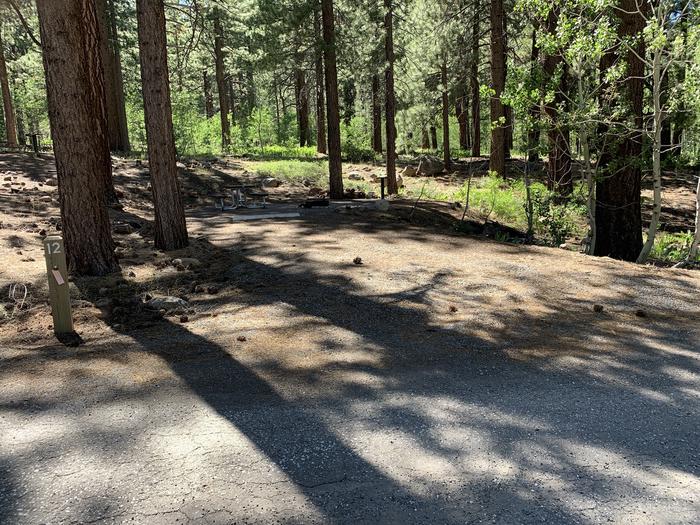 A photo of Site 12 of Loop Loop A at Lookout Campground with Shade