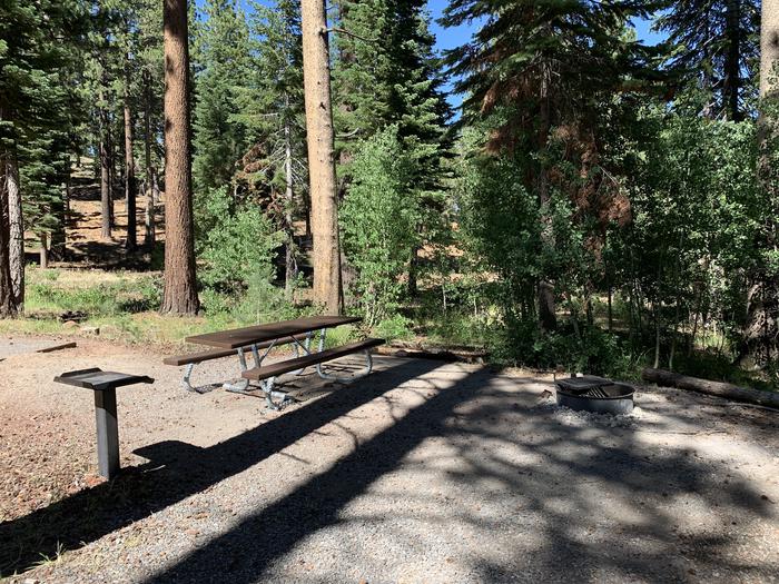 A photo of Site 14 of Loop Loop A at Lookout Campground with Picnic Table, Fire Pit, Shade