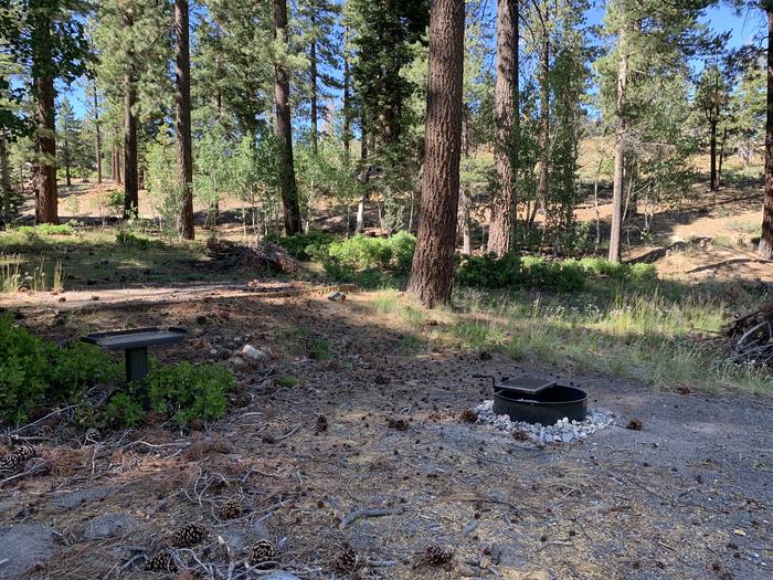 A photo of Site 16 of Loop Loop A at Lookout Campground with Fire Pit, Shade, Tent Pad