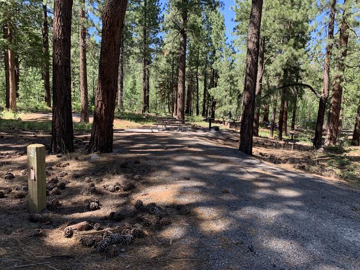 A photo of Site 08 of Loop Loop A at Lookout Campground with Shade