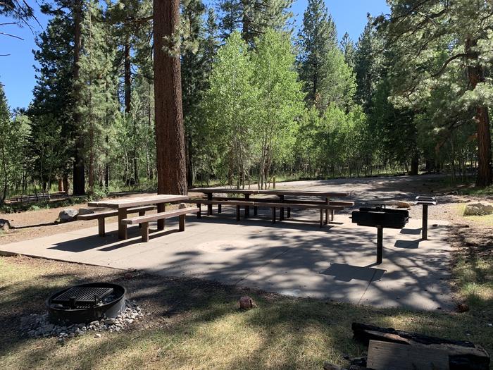 A photo of Site 18 of Loop Loop A at Lookout Campground with Picnic Table, Fire Pit, Shade