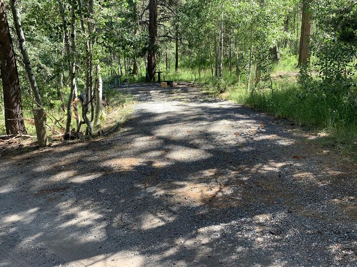 A photo of Site 15 of Loop Loop A at Lookout Campground with Shade