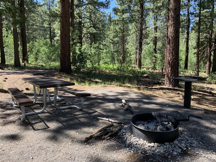 A photo of Site 08 of Loop Loop A at Lookout Campground with Picnic Table, Fire Pit, Shade