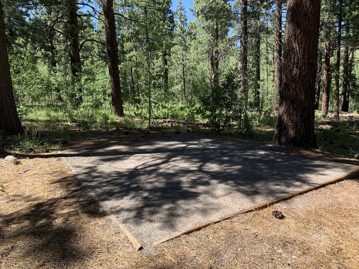 A photo of Site 08 of Loop Loop A at Lookout Campground with Shade, Tent Pad