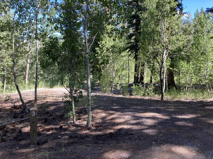 A photo of Site 03 of Loop Loop A at Lookout Campground with Shade
