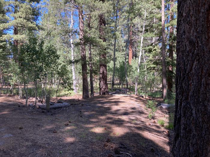 A photo of Site 02 of Loop Loop A at Lookout Campground with Shade