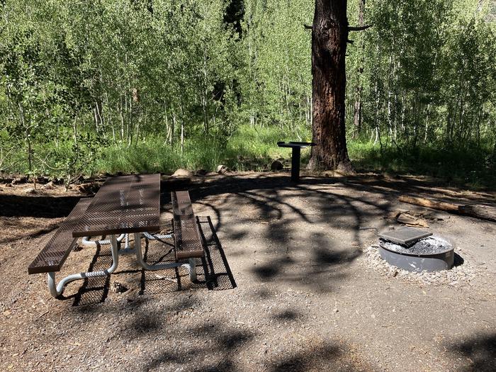 A photo of Site 06 of Loop Loop A at Lookout Campground with Picnic Table, Fire Pit, Shade