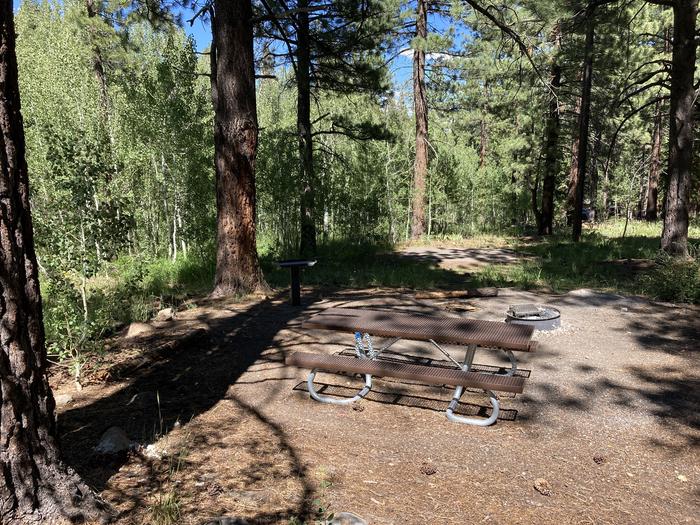 A photo of Site 06 of Loop Loop A at Lookout Campground with Picnic Table, Fire Pit, Shade