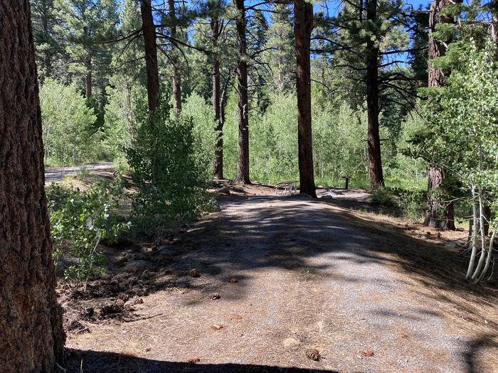 A photo of Site 06 of Loop Loop A at Lookout Campground with Shade