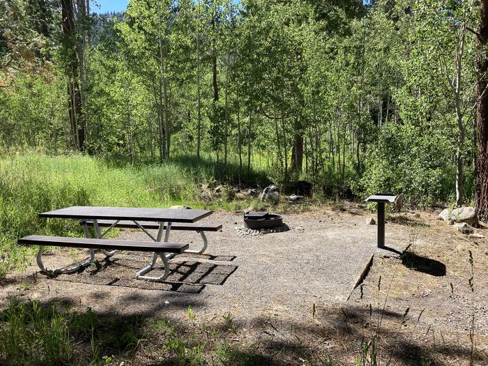 A photo of Site 05 of Loop Loop A at Lookout Campground with Picnic Table, Fire Pit