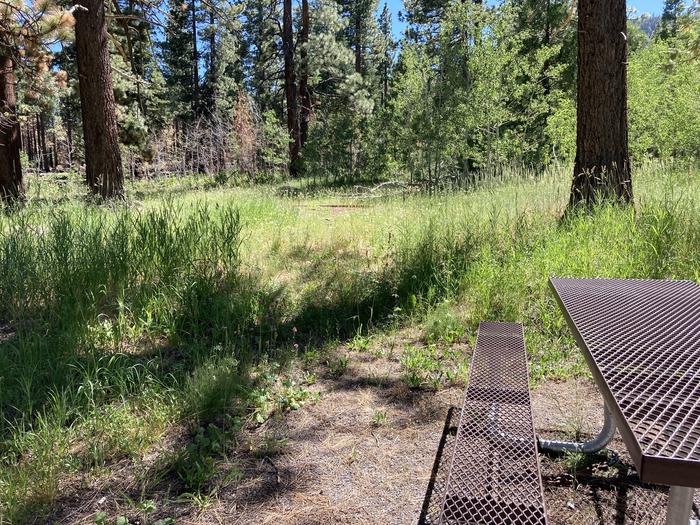 A photo of Site 05 of Loop Loop A at Lookout Campground with Picnic Table