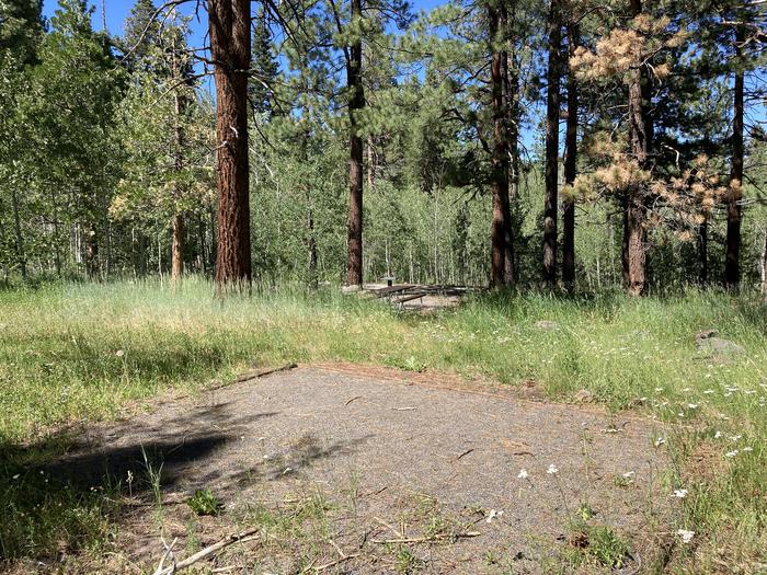 A photo of Site 05 of Loop Loop A at Lookout Campground with Tent Pad