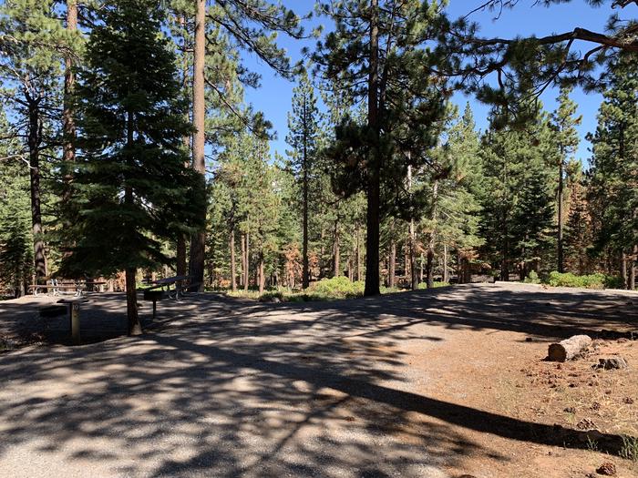 A photo of Site 10 of Loop Loop A at Lookout Campground with Shade
