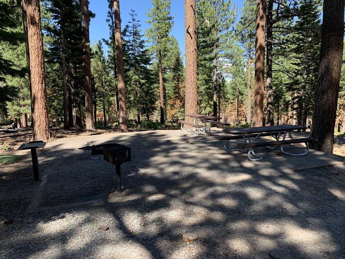 A photo of Site 10 of Loop Loop A at Lookout Campground with Picnic Table, Fire Pit