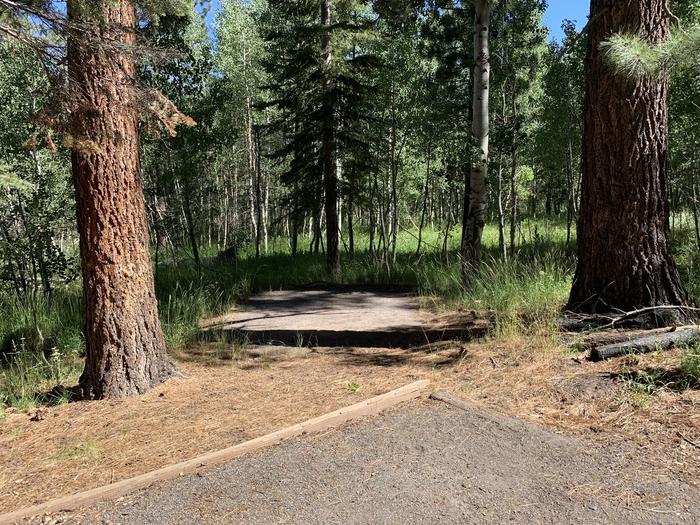 A photo of Site 17 of Loop Loop A at Lookout Campground with Tent Pad