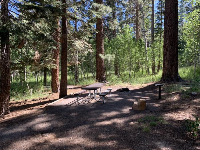 A photo of Site 17 of Loop Loop A at Lookout Campground with Picnic Table, Fire Pit, Shade