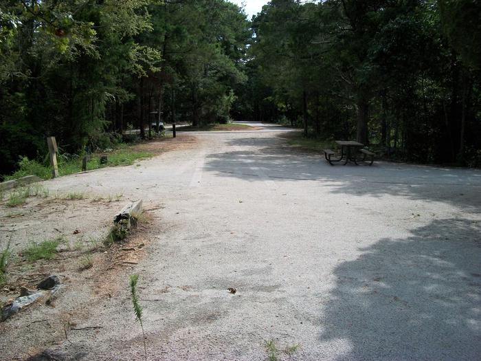 Site 54 Driveway