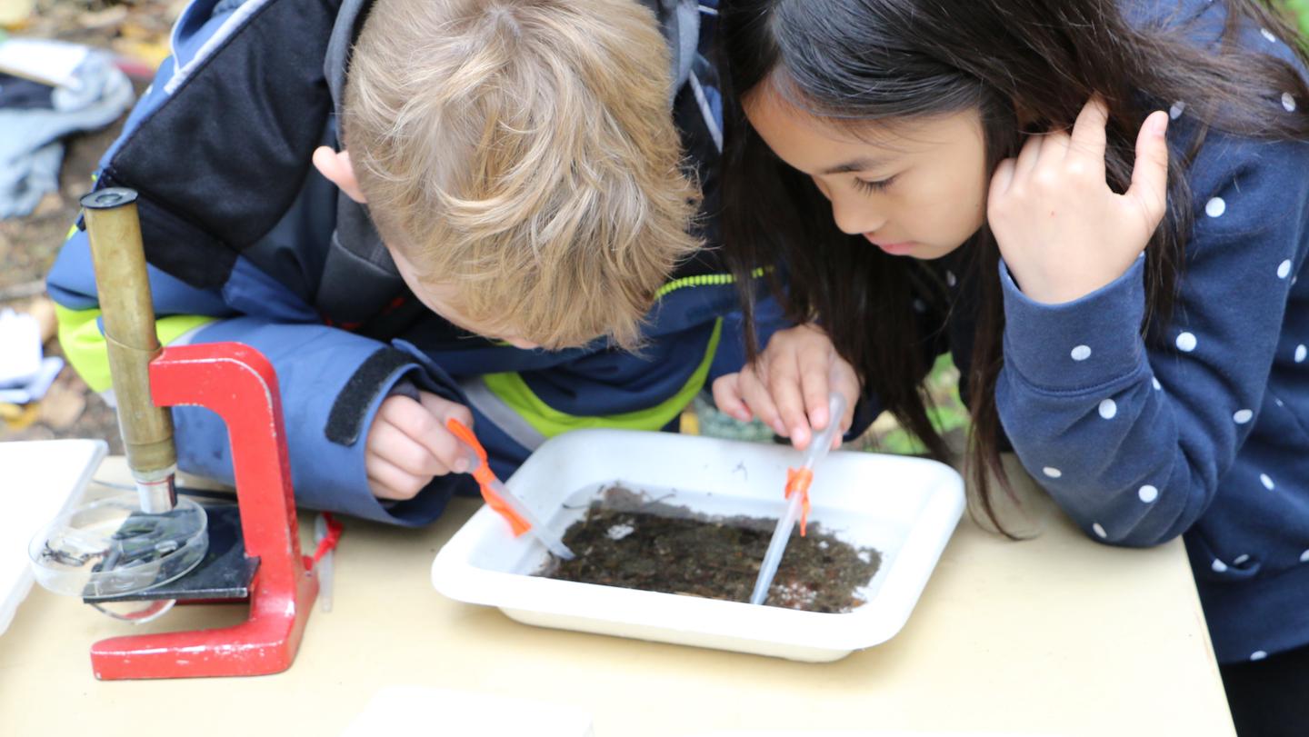 Students using pipettes to explore a pan with water, sediments and creek insects. Programs based on Alaska Science Standards help students connect to watersheds, animals, forests and more!