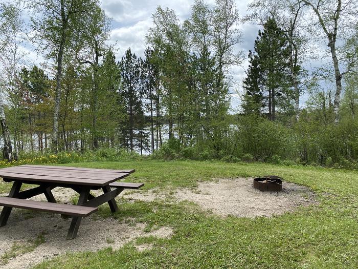 A photo of Site 008 of Loop PFEI at PFEIFFER LAKE with Picnic Table, Fire Pit, Tent Pad