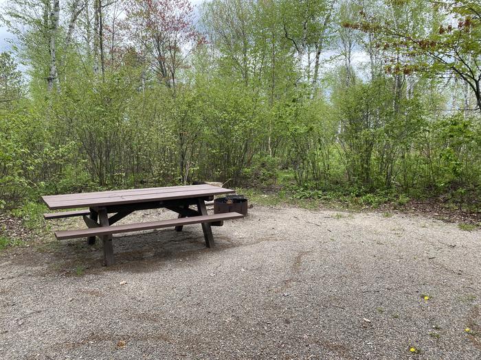 A photo of Site 006 of Loop PFEI at PFEIFFER LAKE with Picnic Table, Fire Pit, Tent Pad