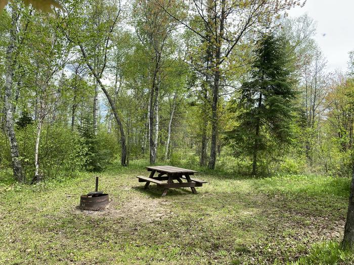 A photo of Site 004 of Loop PFEI at PFEIFFER LAKE with Picnic Table, Fire Pit, Tent Pad