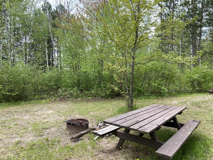 A photo of Site 003 of Loop PFEI at PFEIFFER LAKE with Picnic Table, Fire Pit, Tent Pad