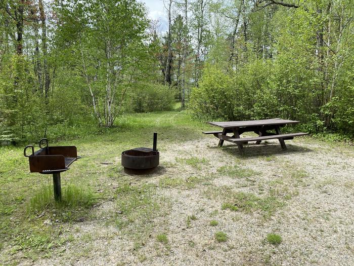 A photo of Site 001 of Loop PFEI at PFEIFFER LAKE with Picnic Table, Fire Pit, Tent Pad