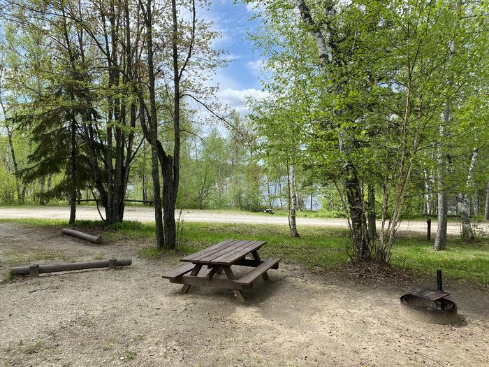 Site 011 at PFEIFFER LAKE with Picnic Table, Fire Pit