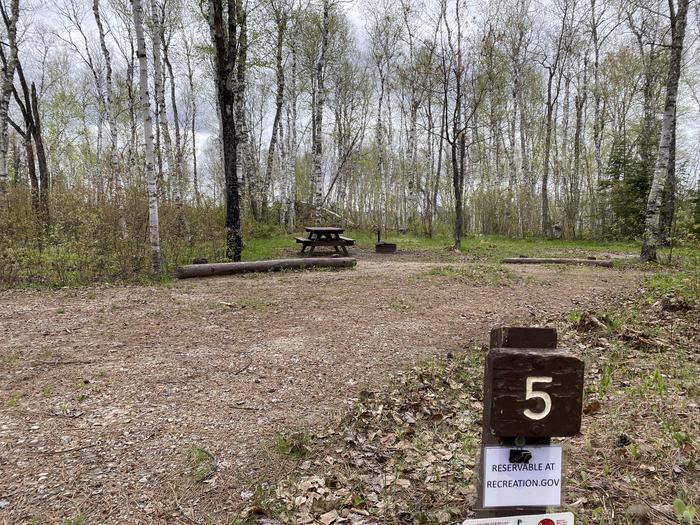 A photo of Site 005 of Loop PFEI at PFEIFFER LAKE with Picnic Table, Fire Pit