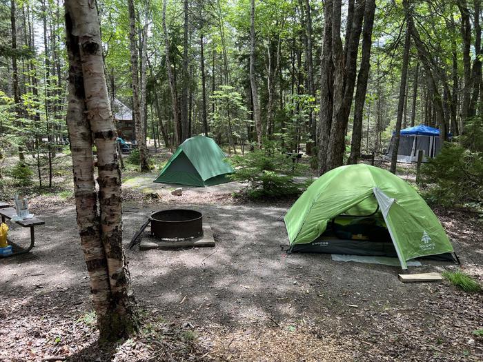 Site D 35 with 4 person tent, neighboring sites in background