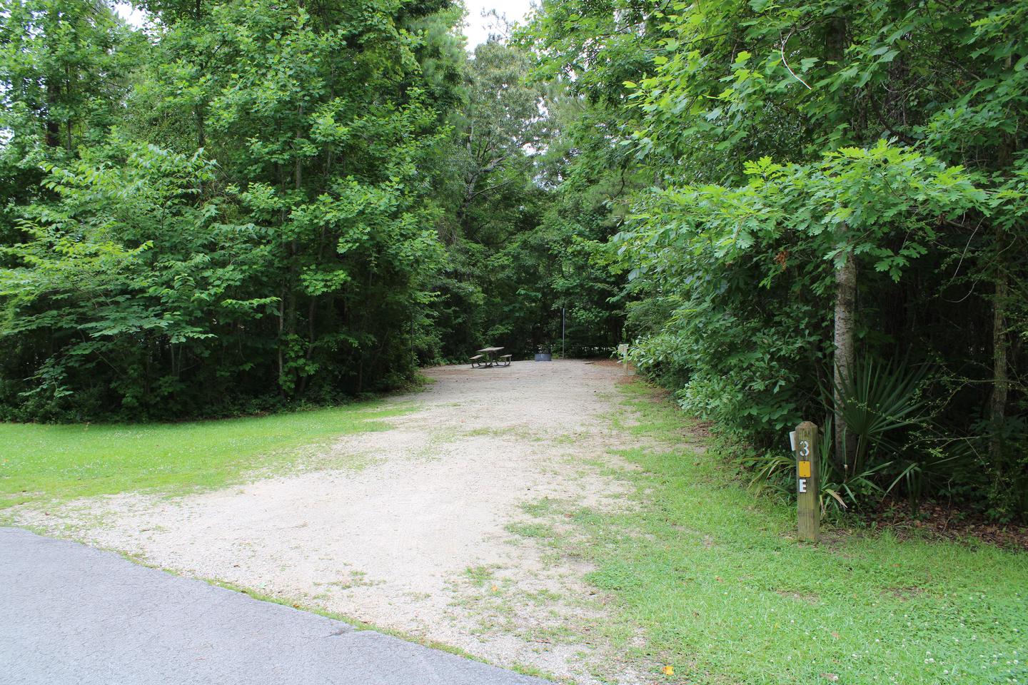 Flanners Beach Campsite #3Driveway for campsite