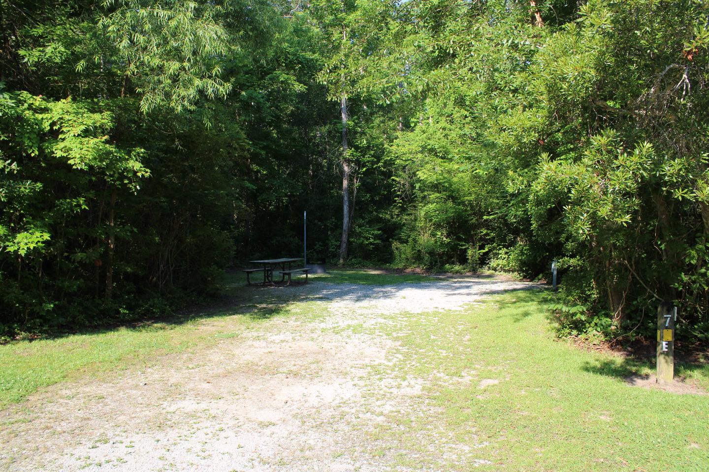 Flanners Beach Campsite #7.Driveway to Campsite