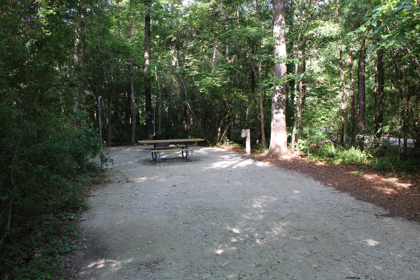 Flanners Beach Campsite #11.Camp Pad