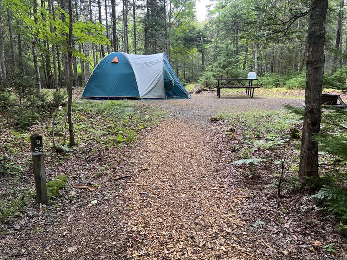 Site D52 with six person tent