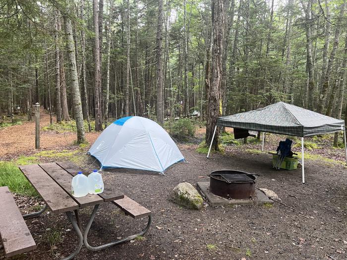 Site D73 with a small tent and canopy, main path thru campground in background
