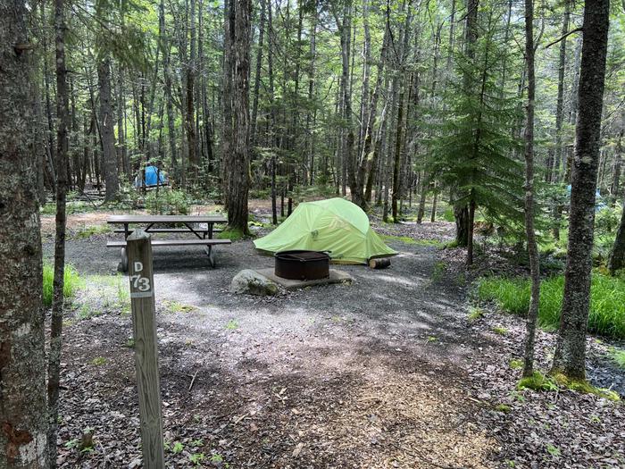 Site D73 with a two person tent