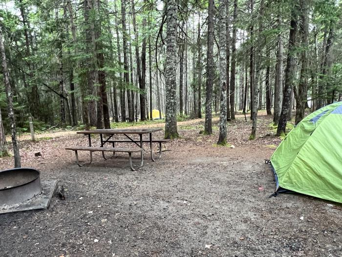 Site D75 with a four person tent, view of main path thru campground in background