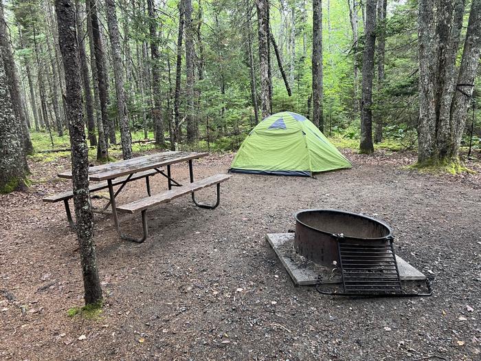 Site D75 with a four person tent