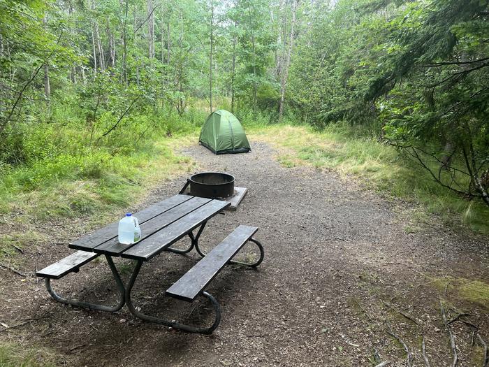 Site D90 with a two person tent