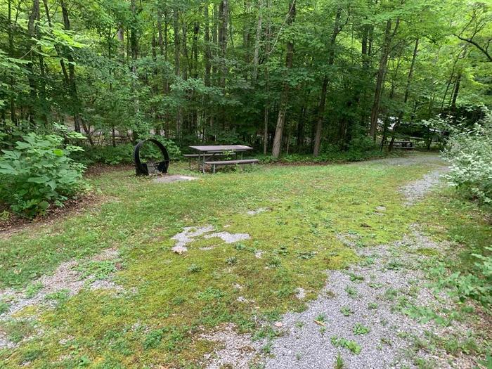 A green grass and gravel area with a brown picnic table and circle fire ring.F-1 camping space.