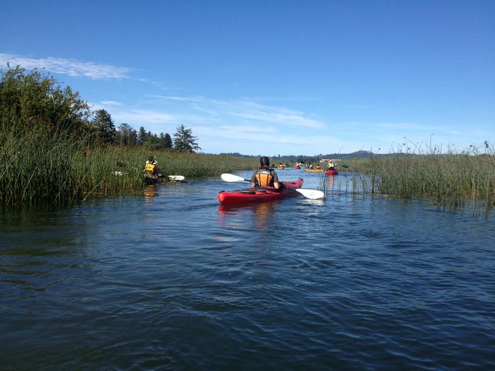 A group of kayakers in a slough.Kayaking into Lewis and Clark National Historical Park wetland restoration project