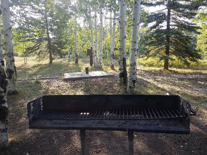 Transfer Park Campground Picnic Area,Grilling Area