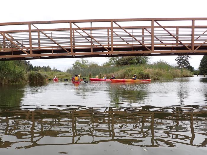 A group of kayakers pause near banks covered in tall grasses. In the foreground, a brown metal bridge spans the scene, reflecting in the river water.Kayaking into Lewis and Clark River